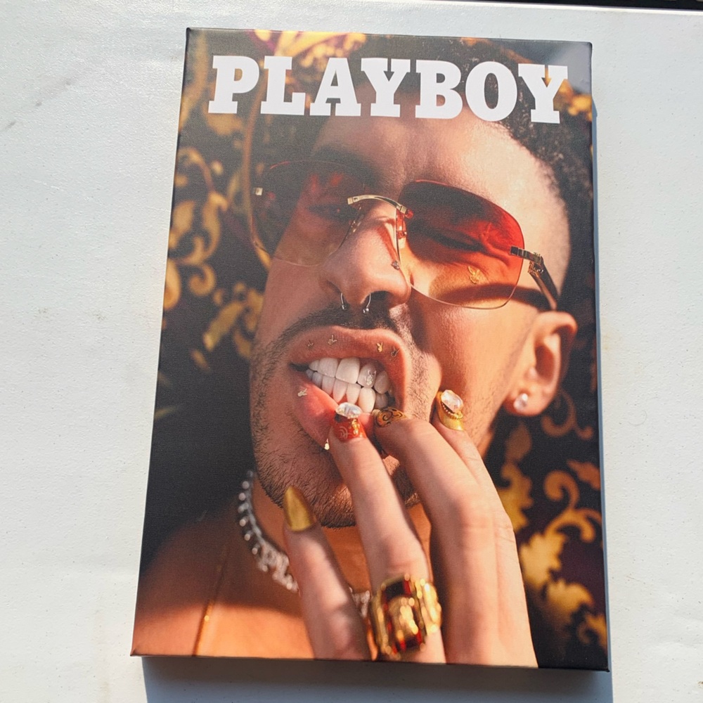 NEW HANDMADE Custom canvas bad bunny inspired 16x24
